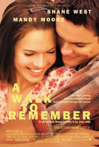 Спеши любить (2002) DVDRip на телефон